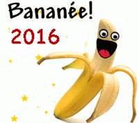 Bonne année!!